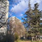 Samsung Galaxy A25 5G 🔥 تجربتي للهاتف بعد 30 يوم و هل يستحق الشراء؟ 28 20240322164323