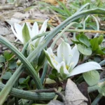 Samsung Galaxy A25 5G 🔥 تجربتي للهاتف بعد 30 يوم و هل يستحق الشراء؟ 26 20240322164415