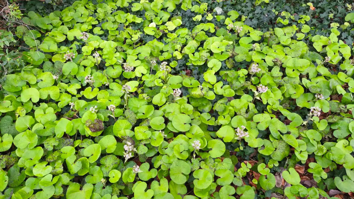 Redmi Note 14 Pro 5G 🔥 هاتف متكامل بسعر رائع… هل يستحق الشراء؟ 12 IMG 20250108 091732