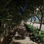 Realme 12 Pro 🔥 التصميم الفخم والكاميرا القوية… هل يستحق الشراء؟ 29 الصور الليلية2