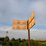 مراجعة هاتف Google Pixel 9a تظهر قبل إطلاق الهاتف 10 Pixel 9a daylight sample