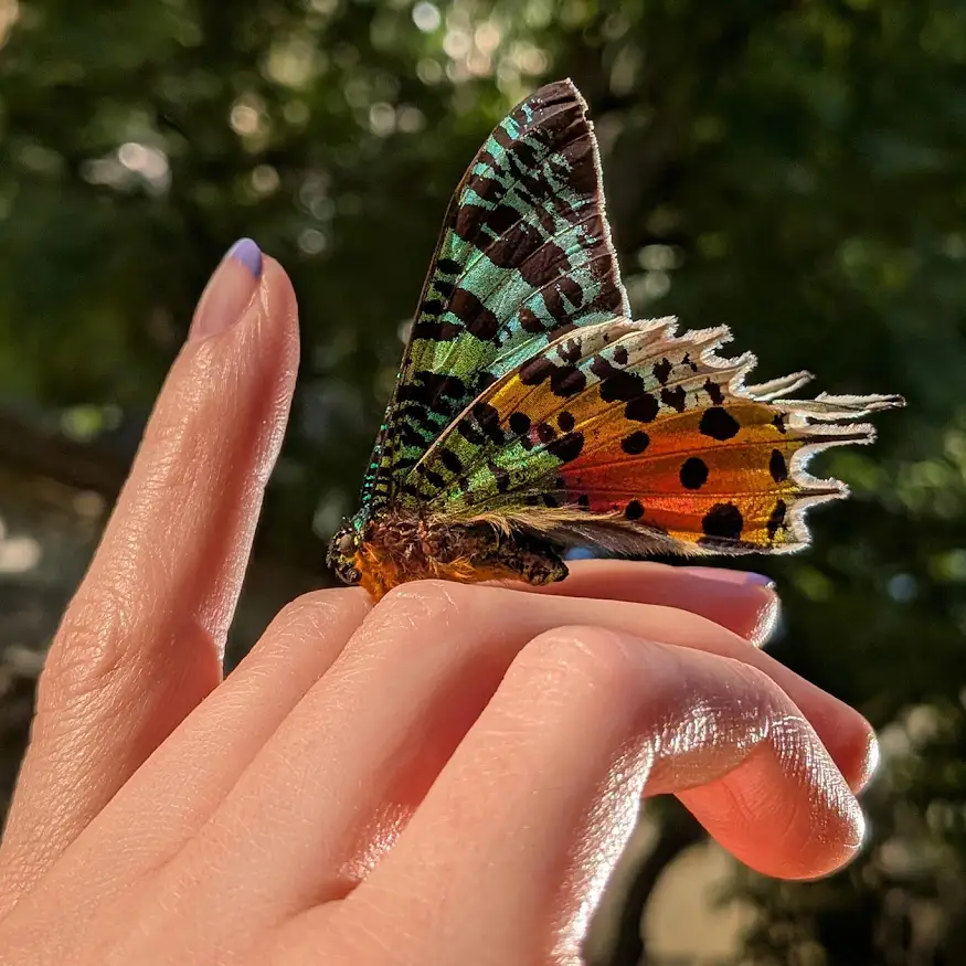 مقارنة كاميرا Google Pixel 9a و iPhone 16e للرؤية الليلية العمياء 8 unnamed