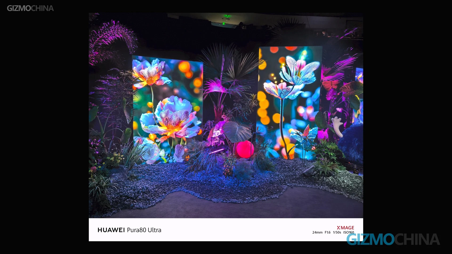 تجربة عملية على هاتفي HUAWEI Pura 80 Ultra وPro Plus: أفضل كاميرا مقربة على وجه الأرض 10 Pura 80 Series 1 2