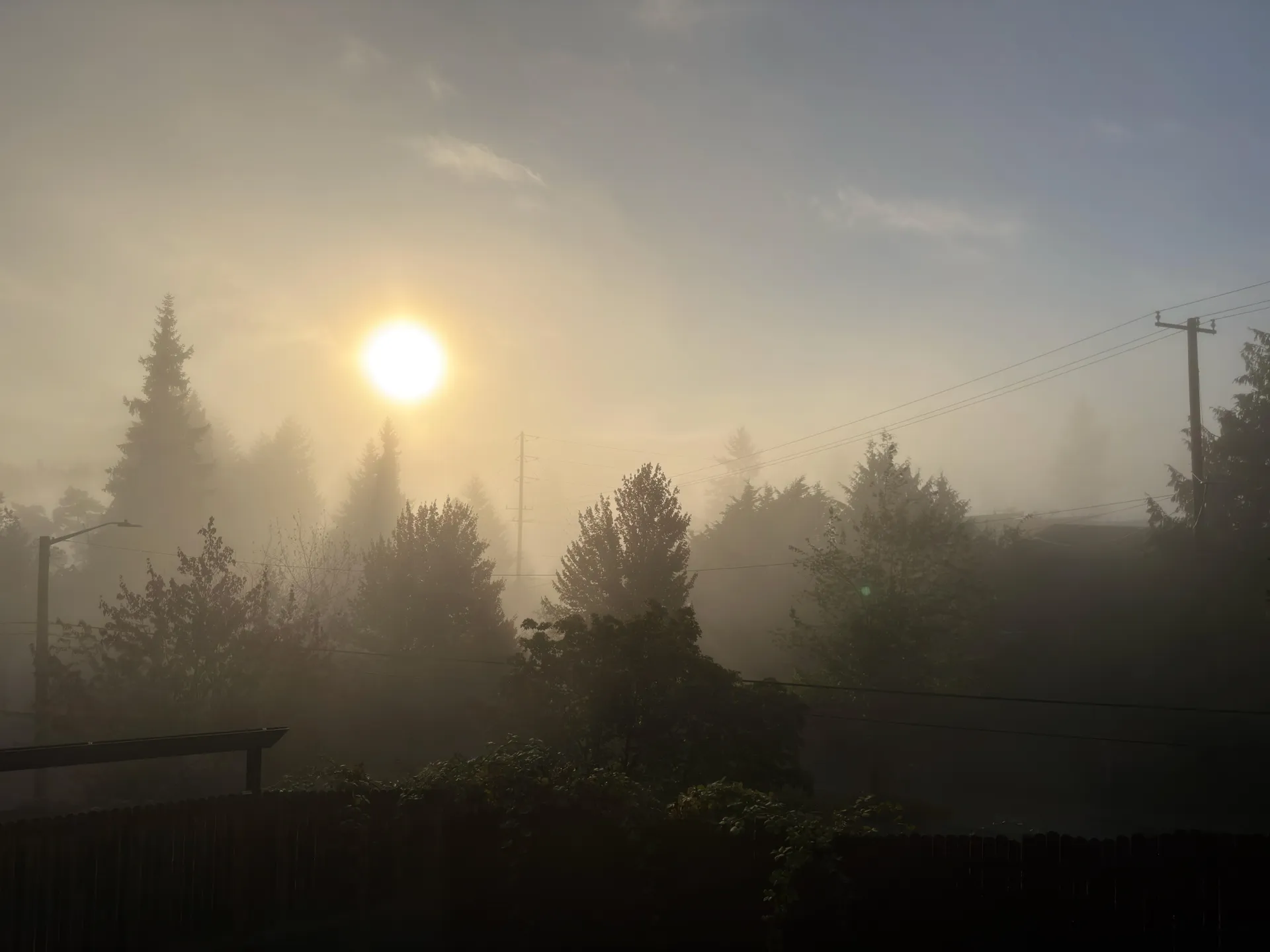 iPhone 17 Pro مقابل Pixel 10 Pro XL: مقارنة بين أفضل كاميرات الهواتف 12 iph17pro vs pix10pro wide fog iphone