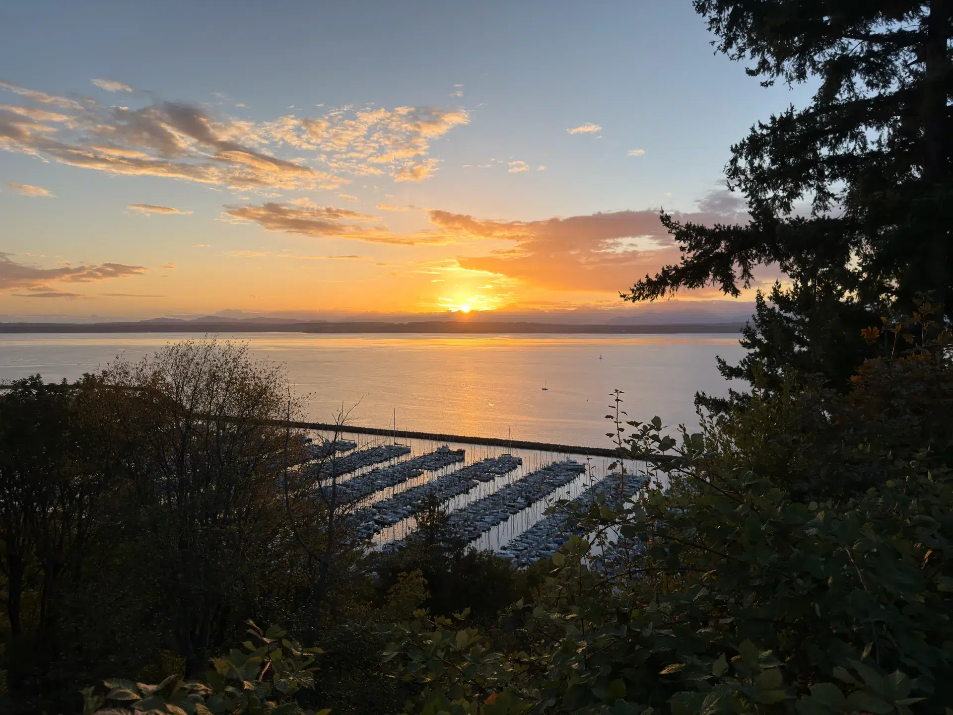 iPhone 17 Pro مقابل Pixel 10 Pro XL: مقارنة بين أفضل كاميرات الهواتف 10 iph17pro vs pix10pro wide shilshole iphone