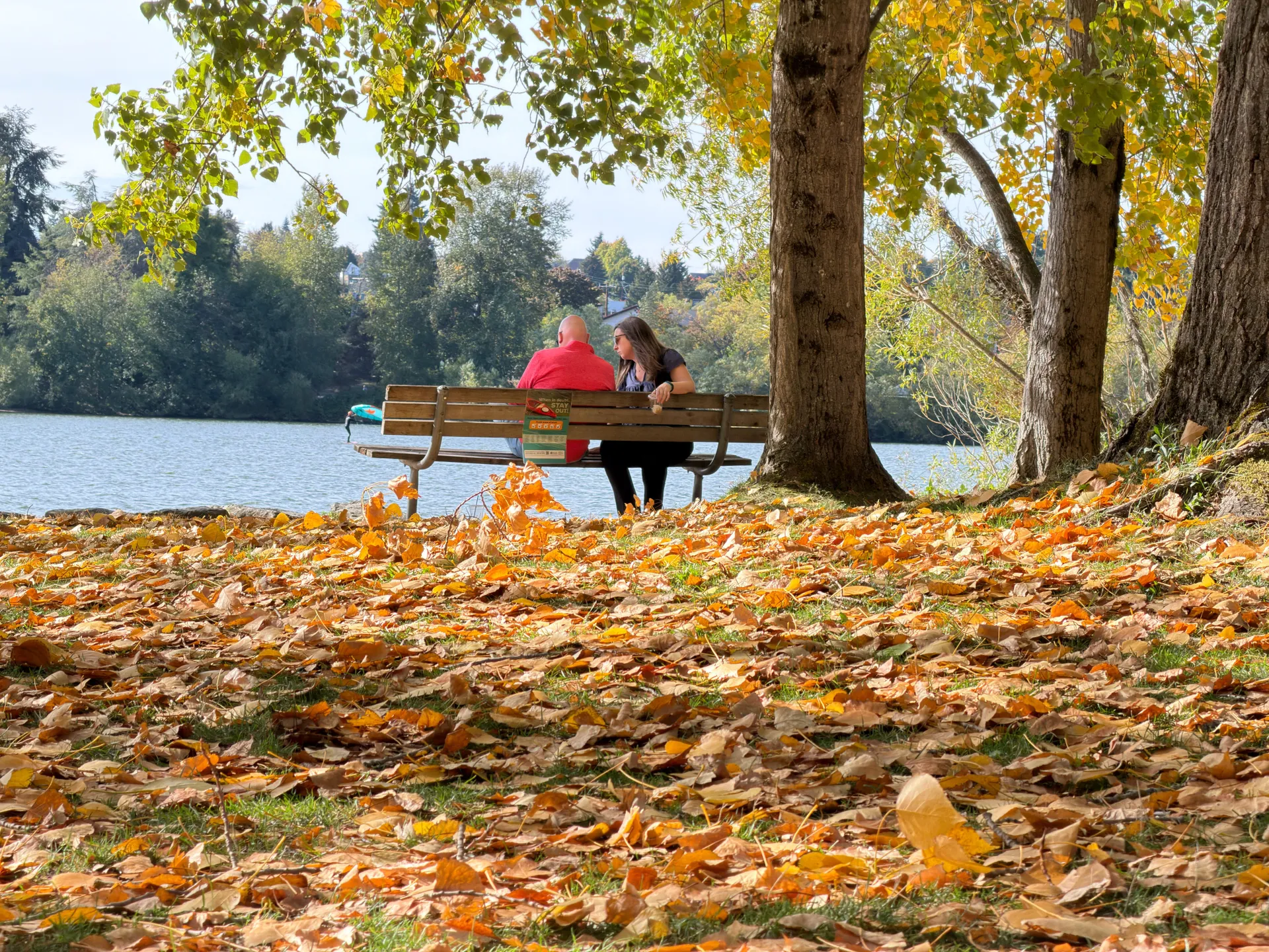 iPhone 17 Pro مقابل Pixel 10 Pro XL: مقارنة بين أفضل كاميرات الهواتف 26 iph17pro vs pix10pro zoom 4x leaves iphone