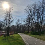 سامسونج a35: 🔥 هل يستحق الترقية؟ مراجعة كاملة تكشف الحقيقة 15 20240324152806