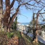 سامسونج a35: 🔥 هل يستحق الترقية؟ مراجعة كاملة تكشف الحقيقة 12 20240324155149