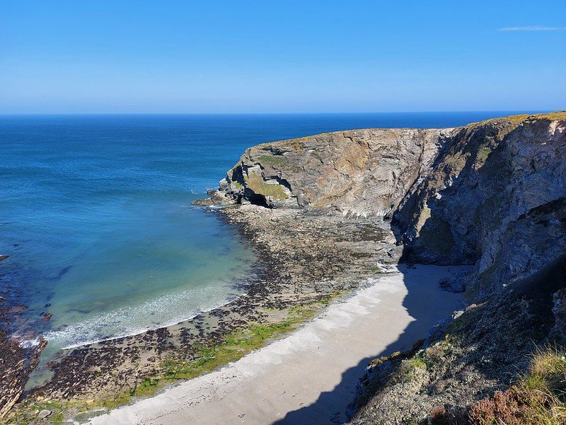 سعر و مواصفات samsung a52 في مصر: المراجعة الكاملة 17 51144968350 63deff5a77 c