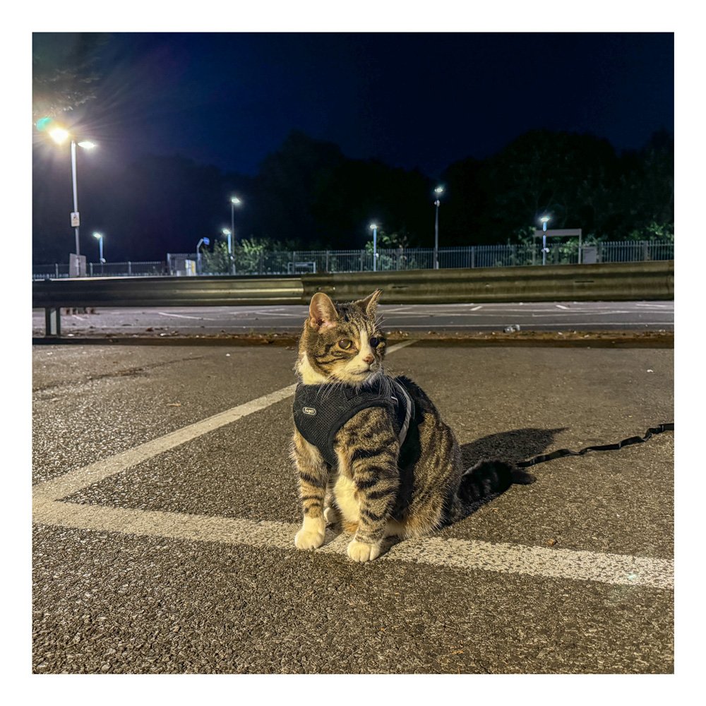 سعر iphone 15 pro max egypt: المراجعة الكاملة 20 Ali