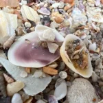 iPhone 13 Pro Max: بطل البطارية بلا منازع… هل ما زال الأفضل في 2026؟ 35 iPhone 13 Pro IMG 0051