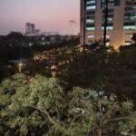 ريلمي 14 برو بلس: الملك الجديد للفئة المتوسطة؟ 27 img 20250116 wa0073