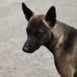 ريلمي 14 برو بلس: الملك الجديد للفئة المتوسطة؟ 26 img 20250116 wa0077