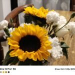 ريلمي 14 برو بلس: الملك الجديد للفئة المتوسطة؟ 24 img 20250116 wa0089