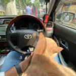 iphone 11: 🔥 هل يستحق الترقية؟ مراجعة كاملة تكشف الحقيقة 25 iphone11shotsoriginal 2