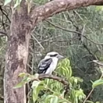 سامسونج a56: 🔥 هل يستحق الترقية؟ مراجعة كاملة تكشف الحقيقة 27 Y5ZU9PPjG3JNHCv6KBjMyB 1200 80.jpg