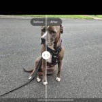 سامسونج a56: 🔥 هل يستحق الترقية؟ مراجعة كاملة تكشف الحقيقة 15 h6VZW78VH2vy6q3npShDyZ 1200 80.jpg