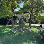 Iphone 16 pro max 🔥 هل يستحق الترقية؟ مراجعة كاملة تكشف الحقيقة 29 iPhone 14PM IMG0010 3