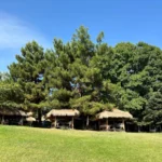 Iphone 16 pro max 🔥 هل يستحق الترقية؟ مراجعة كاملة تكشف الحقيقة 19 iPhone 14PM IMG0033