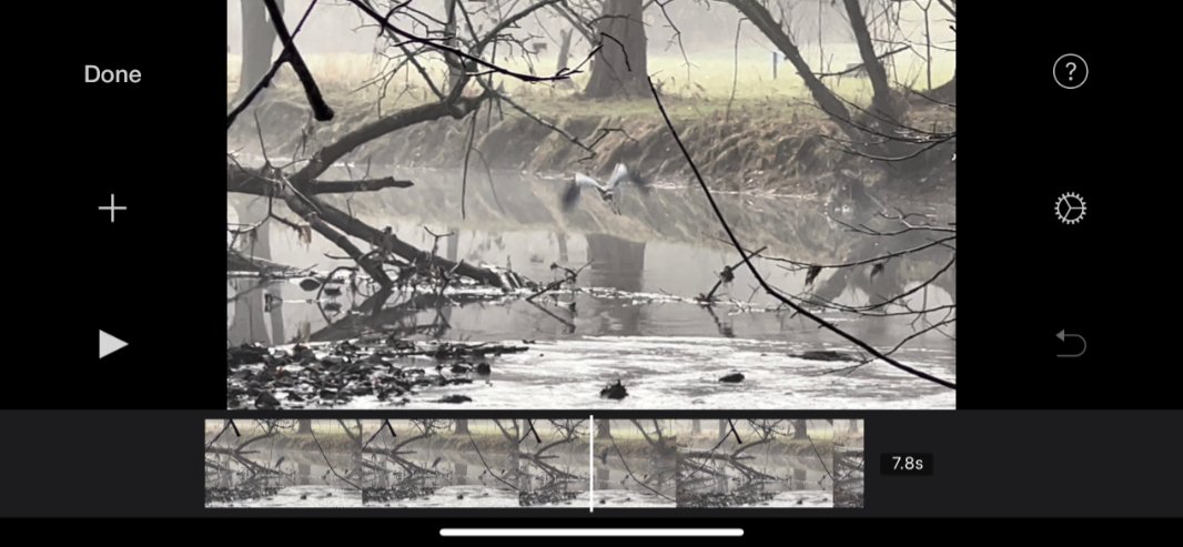 دليل الشراء الكامل لهاتف iPhone 13 : هل ما زال يستحق الشراء في 2026؟ 29 imovie