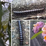 سامسونج a56: 🔥 هل يستحق الترقية؟ مراجعة كاملة تكشف الحقيقة 31 rNQu8HPLfq2daXB4MMjinE 1200 80.jpg