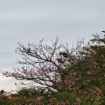 OPPO Find X9 🔥 هل يستحق الشراء + المميزات والعيوب قبل الشراء 54 gadgetmatch samples 20251219 oppo find x9 30 768x1024 1