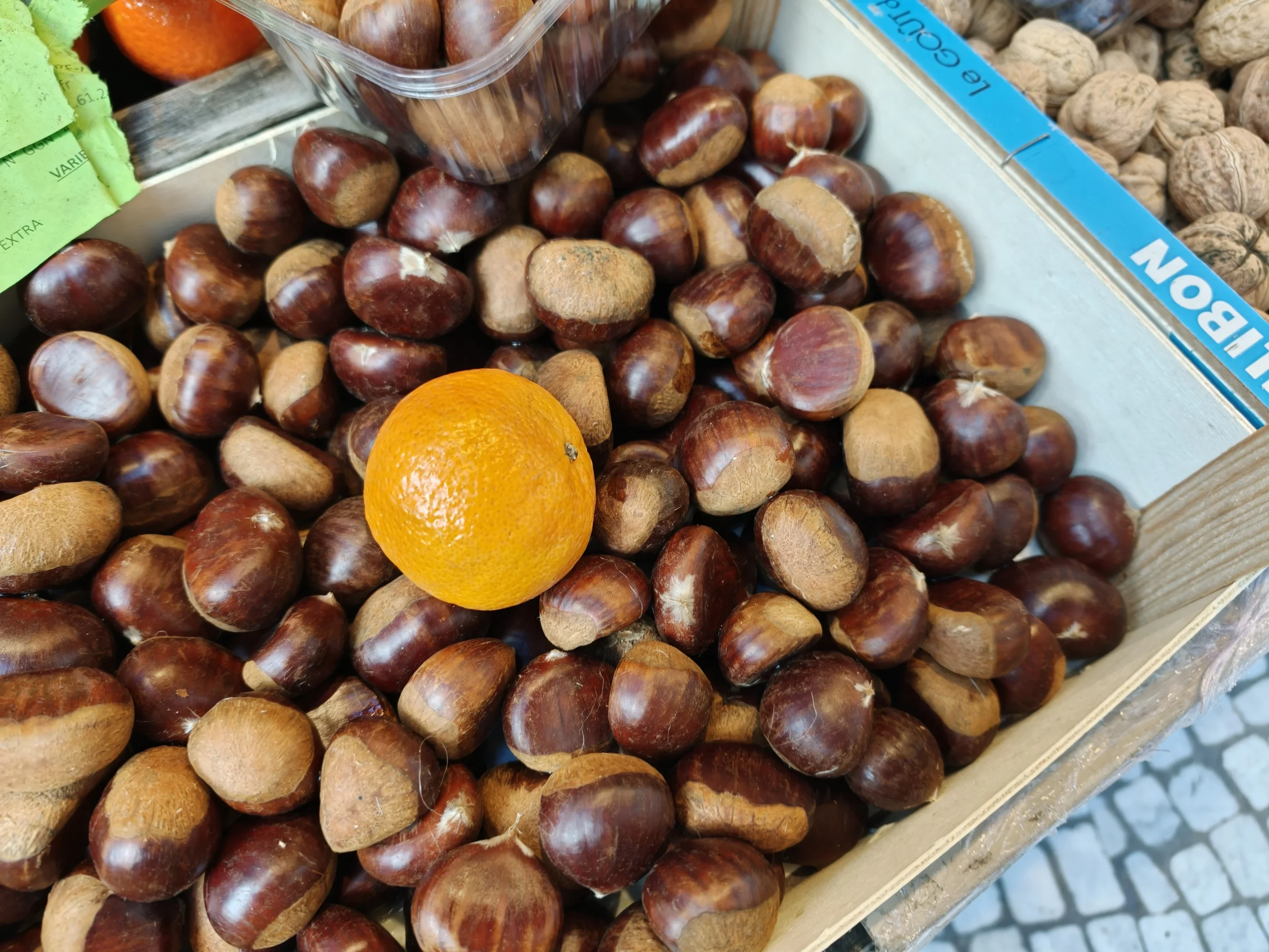 Oppo Find X9 Pro 🔥 هاتف تصوير مذهل… لكن هل يفتقد شيئًا مهمًا؟ 46 img20251023161848 copie scaled