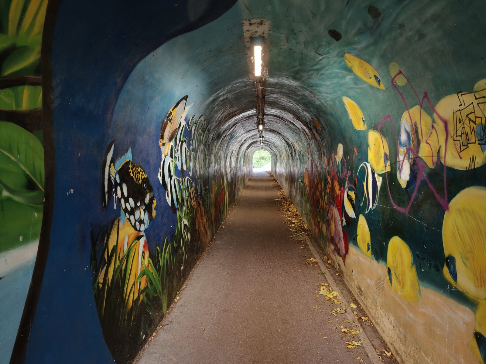 Oppo Find X9 Pro 🔥 هاتف تصوير مذهل… لكن هل يفتقد شيئًا مهمًا؟ 50 img20251024145521 scaled