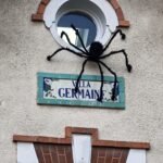 Oppo Find X9 Pro 🔥 هاتف تصوير مذهل… لكن هل يفتقد شيئًا مهمًا؟ 77 img20251024153520