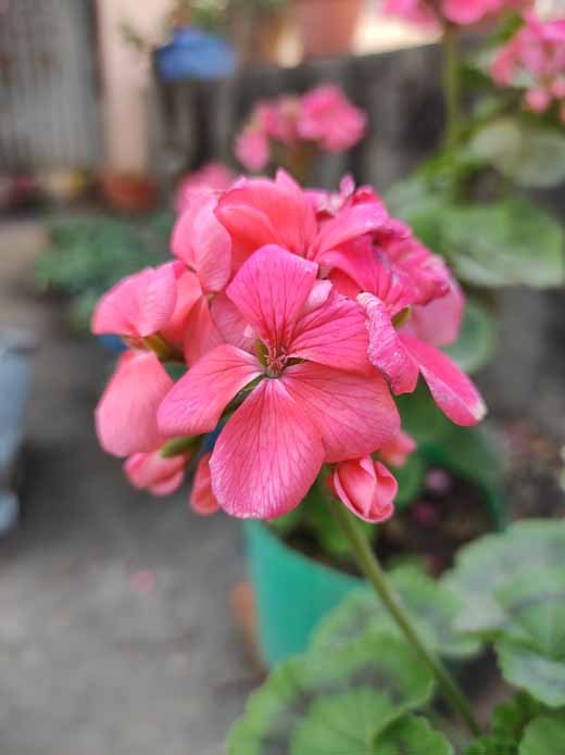 مراجعة سلسلة infinix zero 8: المميزات والعيوب وهل تستحق الشراء في 2026؟ 16 1الصور الرئيسية infinix zero 8