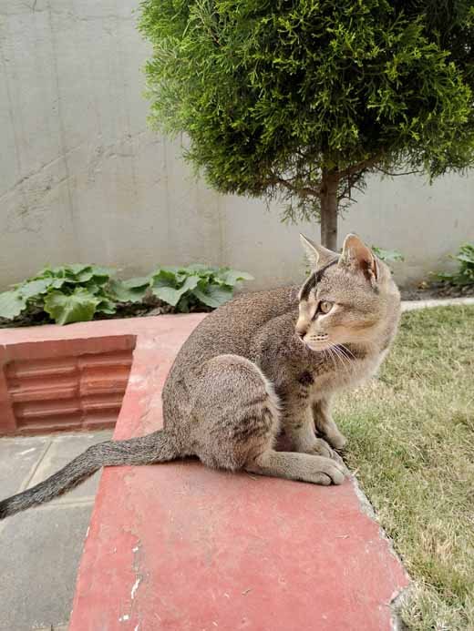 مراجعة سلسلة infinix zero 8: المميزات والعيوب وهل تستحق الشراء في 2026؟ 15 3الصور الرئيسية infinix zero 8